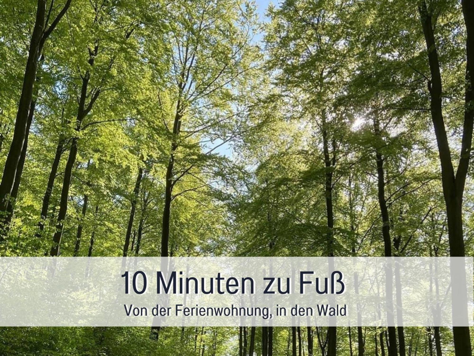 Am Feldrain - Urlaub Mit Hund Im Weserbergland Hannoversch Münden Kültér fotó