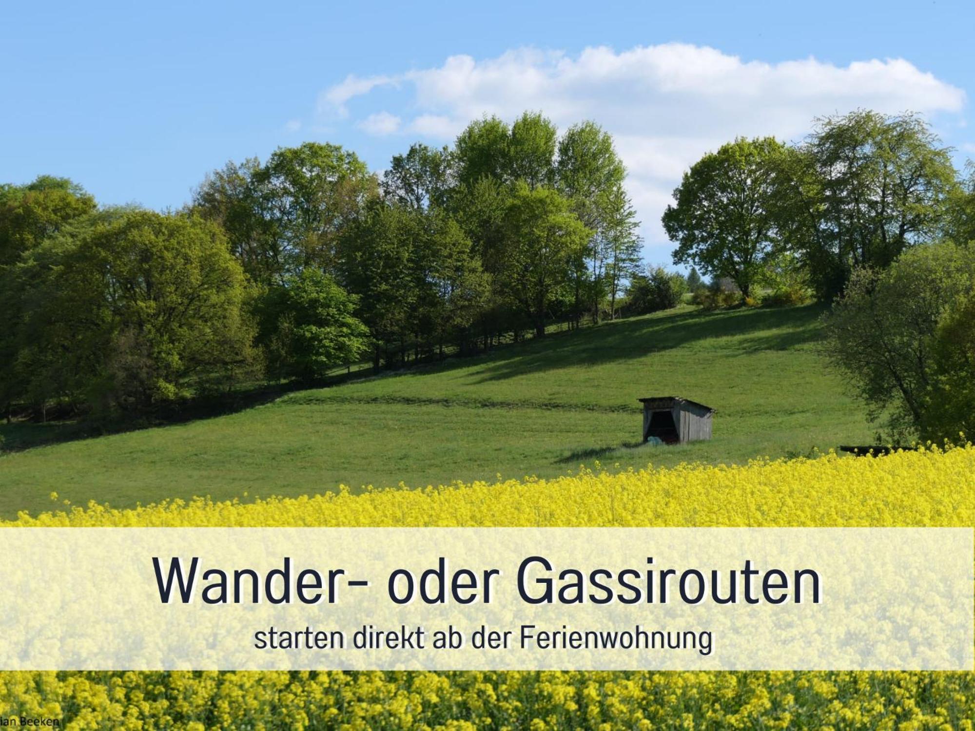 Am Feldrain - Urlaub Mit Hund Im Weserbergland Hannoversch Münden Kültér fotó